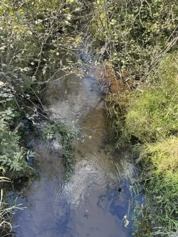Picture 11