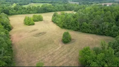 65 Acres in Ripley, TN