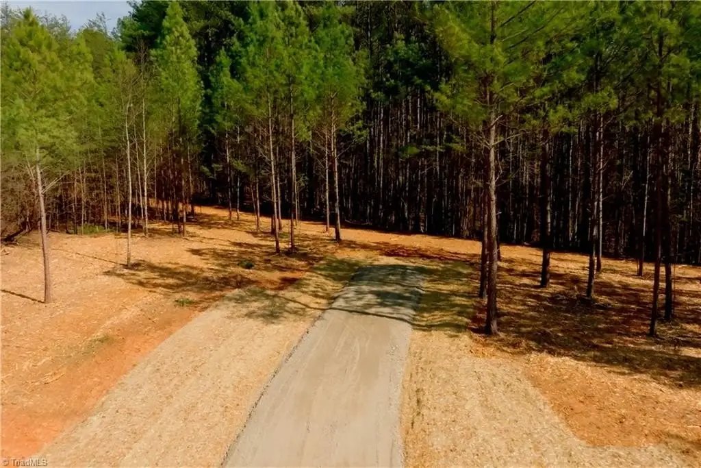 Picture 7