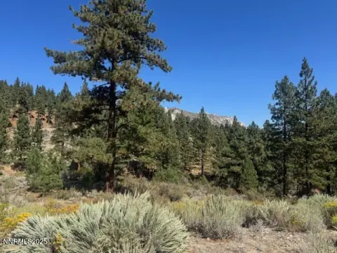 Land in Clear Creek Tahoe