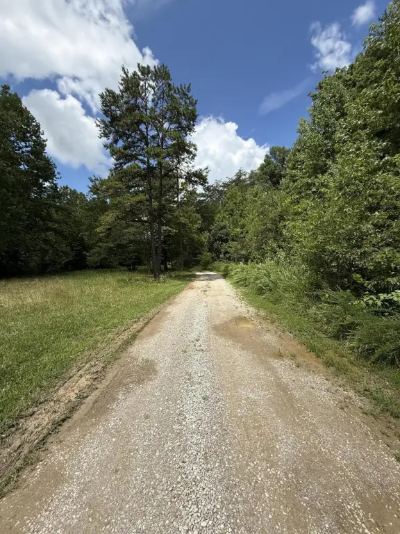 Picture 6