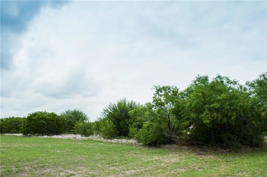 Picture 8