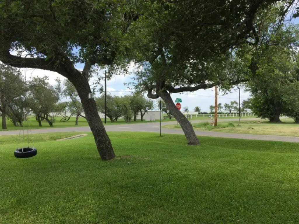 Picture 33