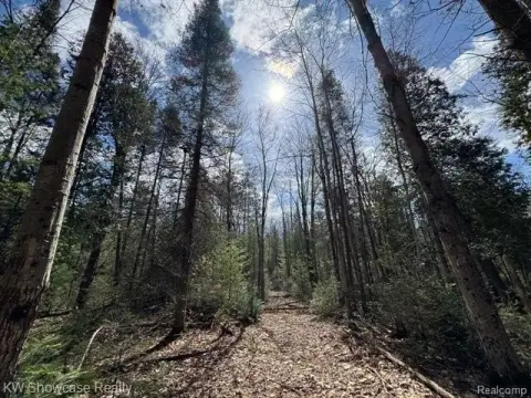 Waterfront Land Near Houghton Lake