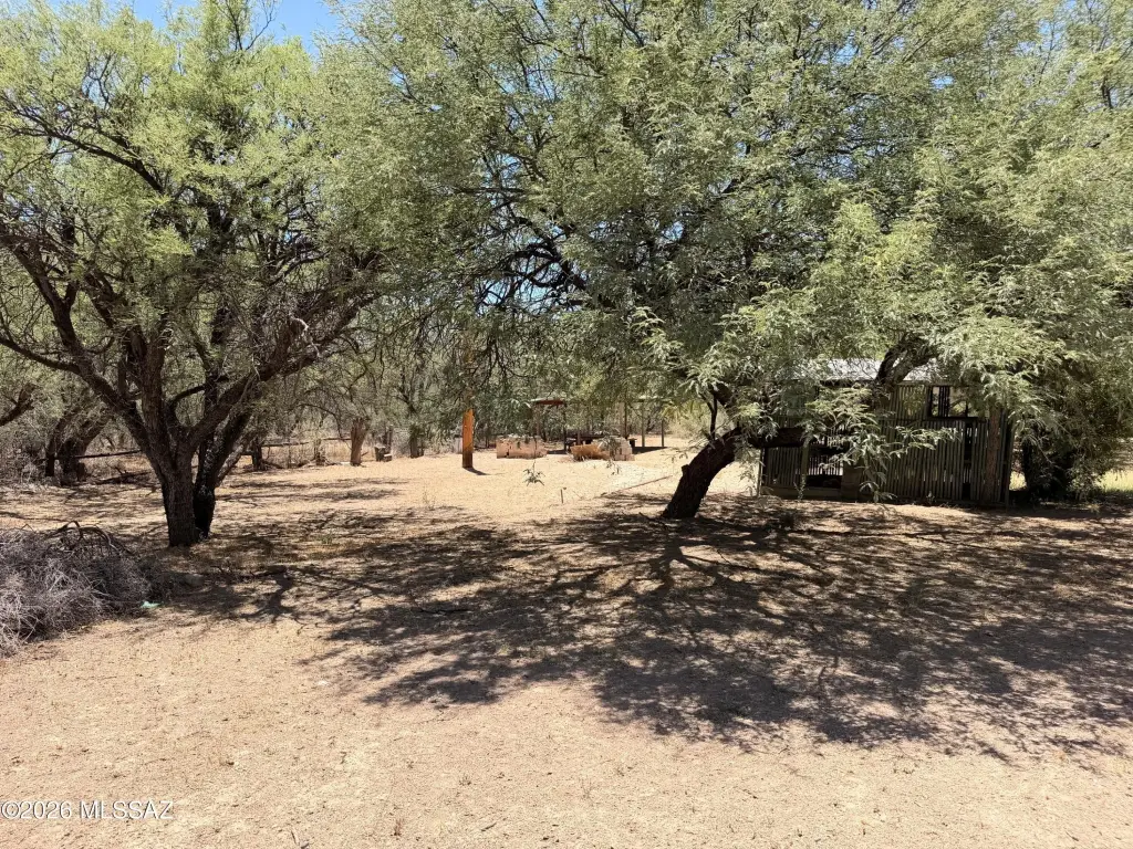 Picture 39