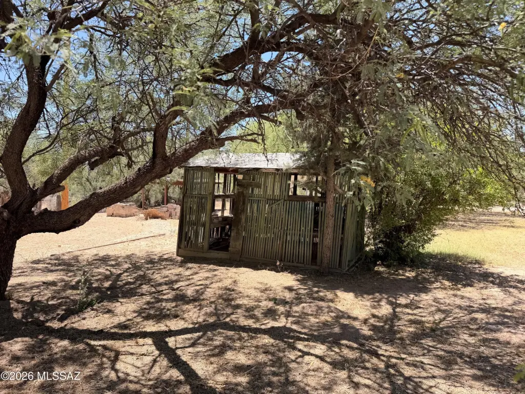 Picture 33