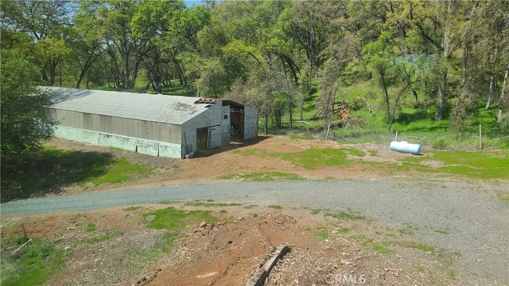 Picture 25