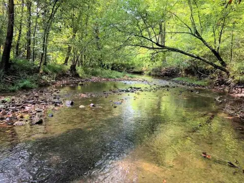 Killen Acreage with Creek Frontage