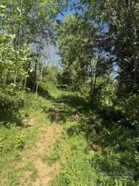 Picture 4