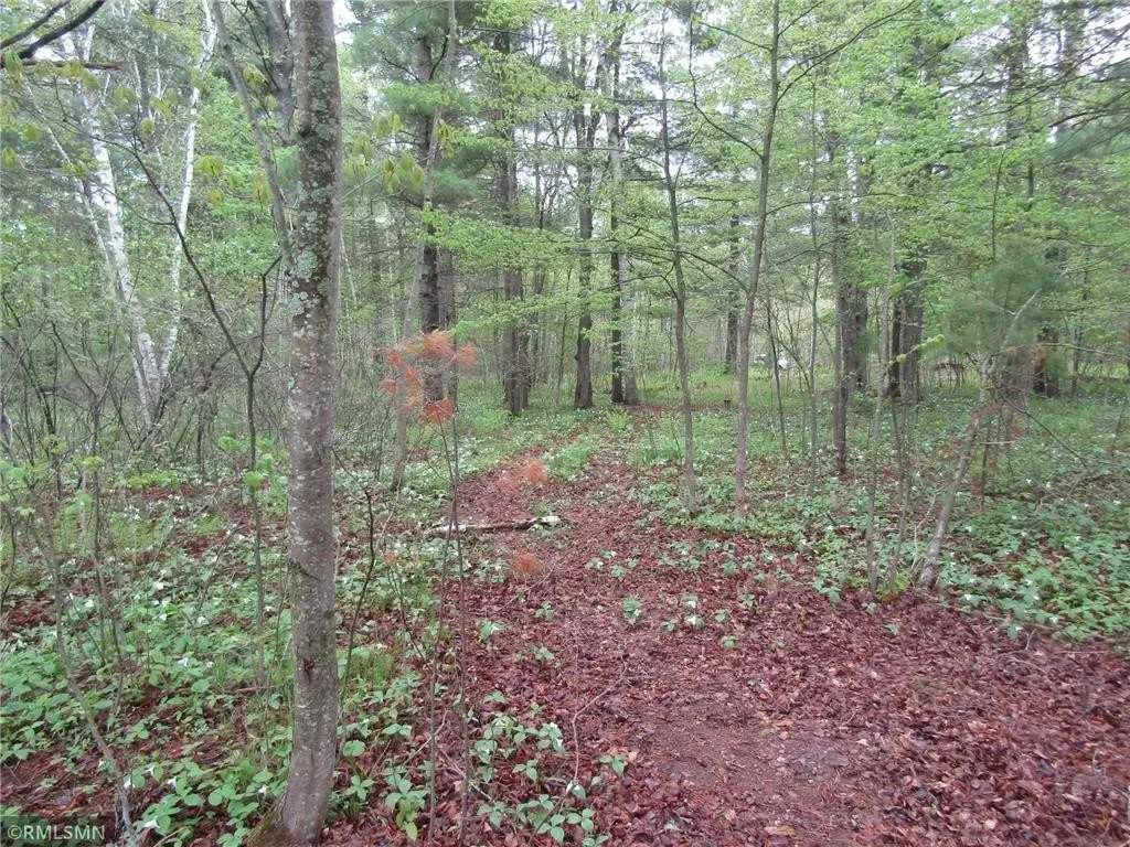 Picture 8