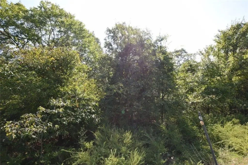 Picture 42