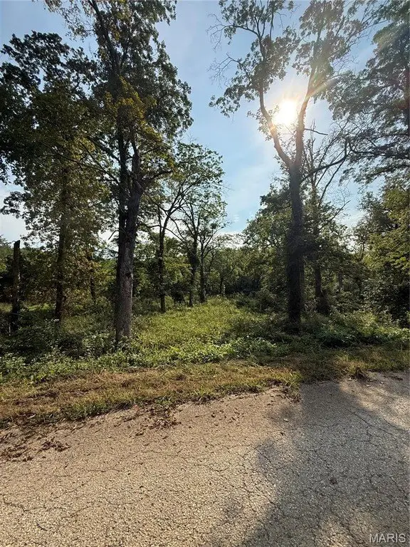 Picture 21
