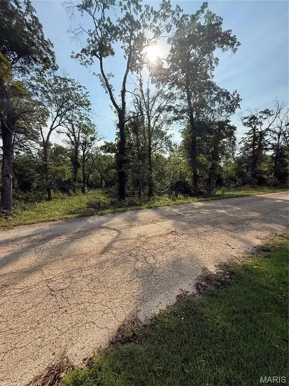 Picture 20