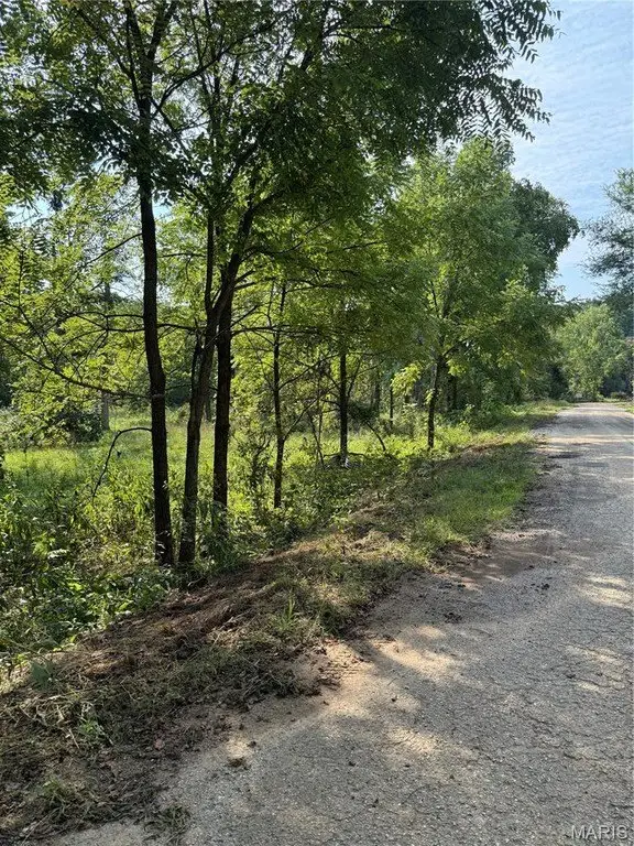 Picture 5