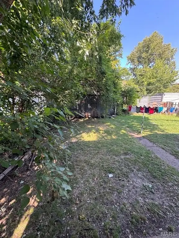 Picture 21