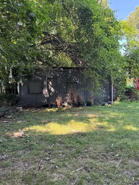 Picture 20