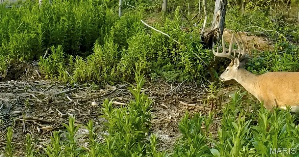 Picture 16
