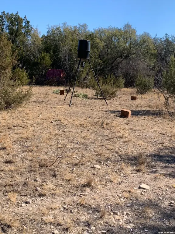 Picture 4