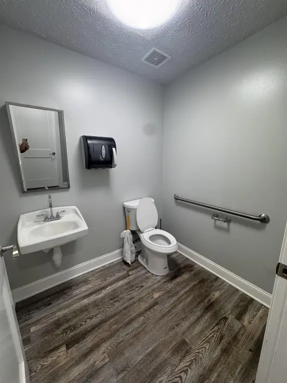 Picture 15