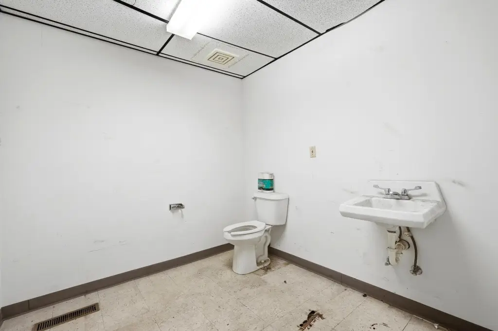 Picture 21