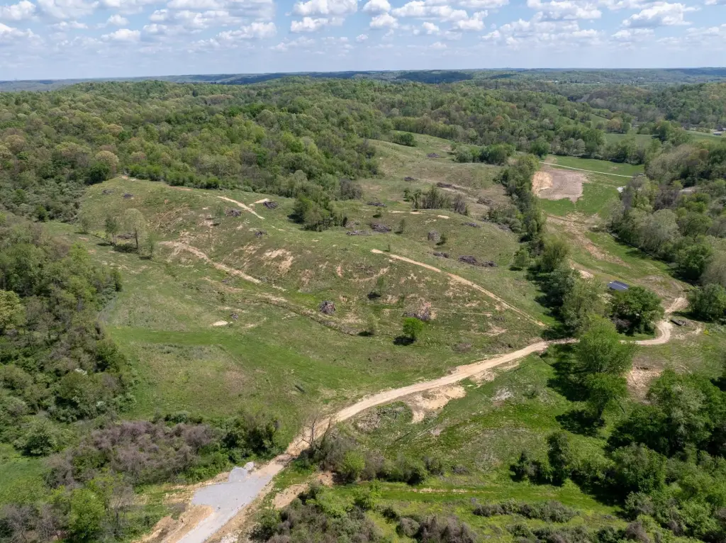 Picture 26