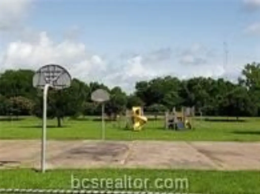 Picture 7