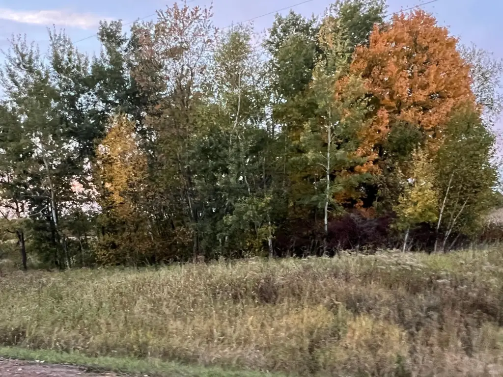 Picture 9