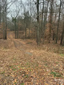 Residential Land in Creekstone Subdivision
