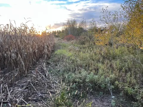 Agricultural Land