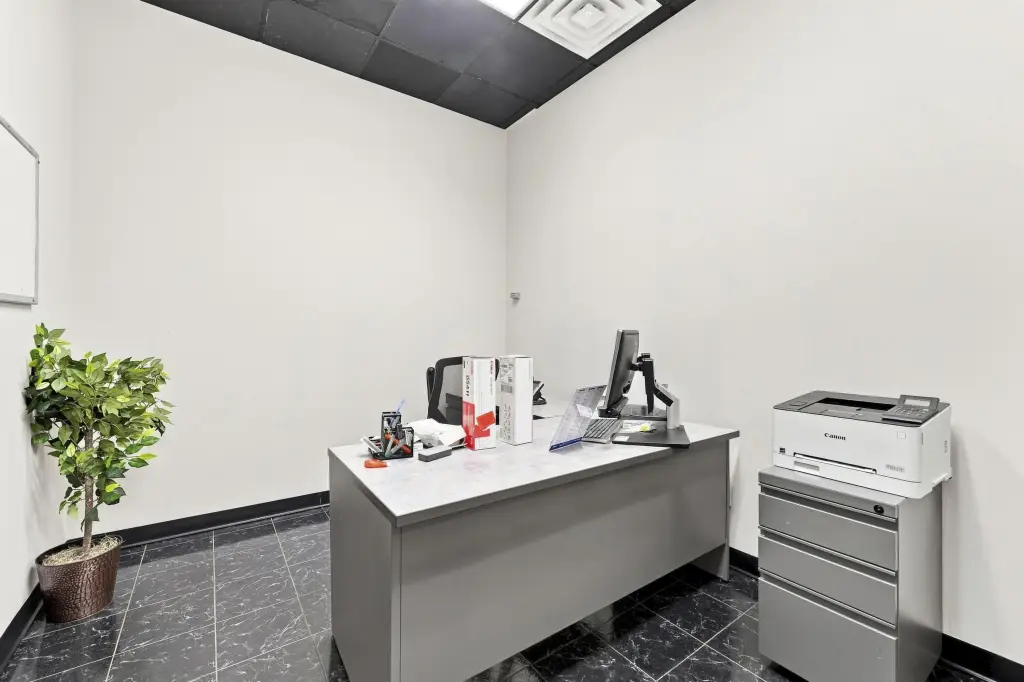 Picture 5