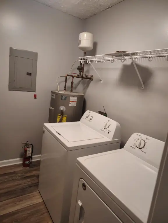 Picture 17