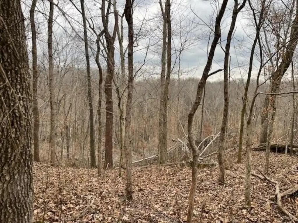 Picture 5