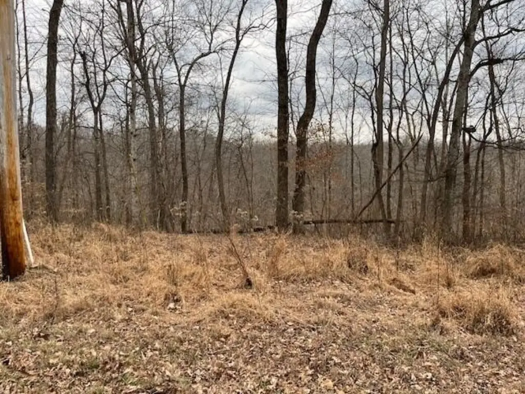 Picture 4