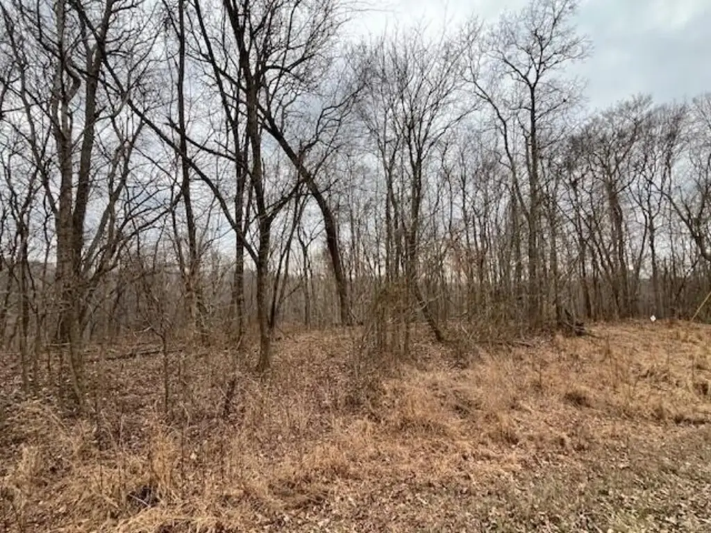 Picture 8