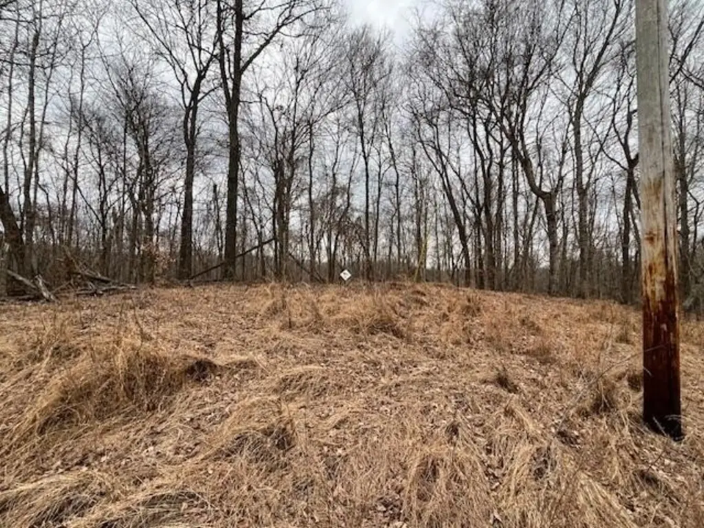 Picture 3
