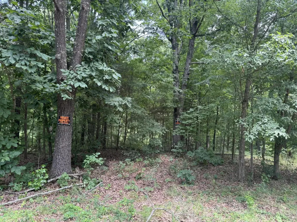 Picture 14