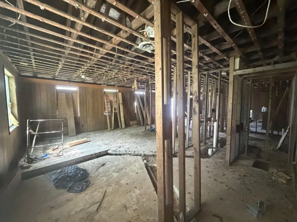 Picture 5