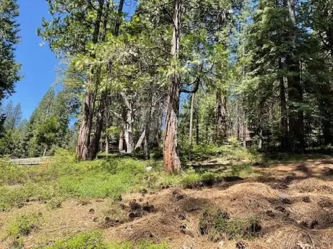 Residential Lot in Blue Lake