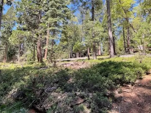 Residential Lot in Blue Lake