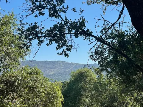 Angels Camp Residential Lot