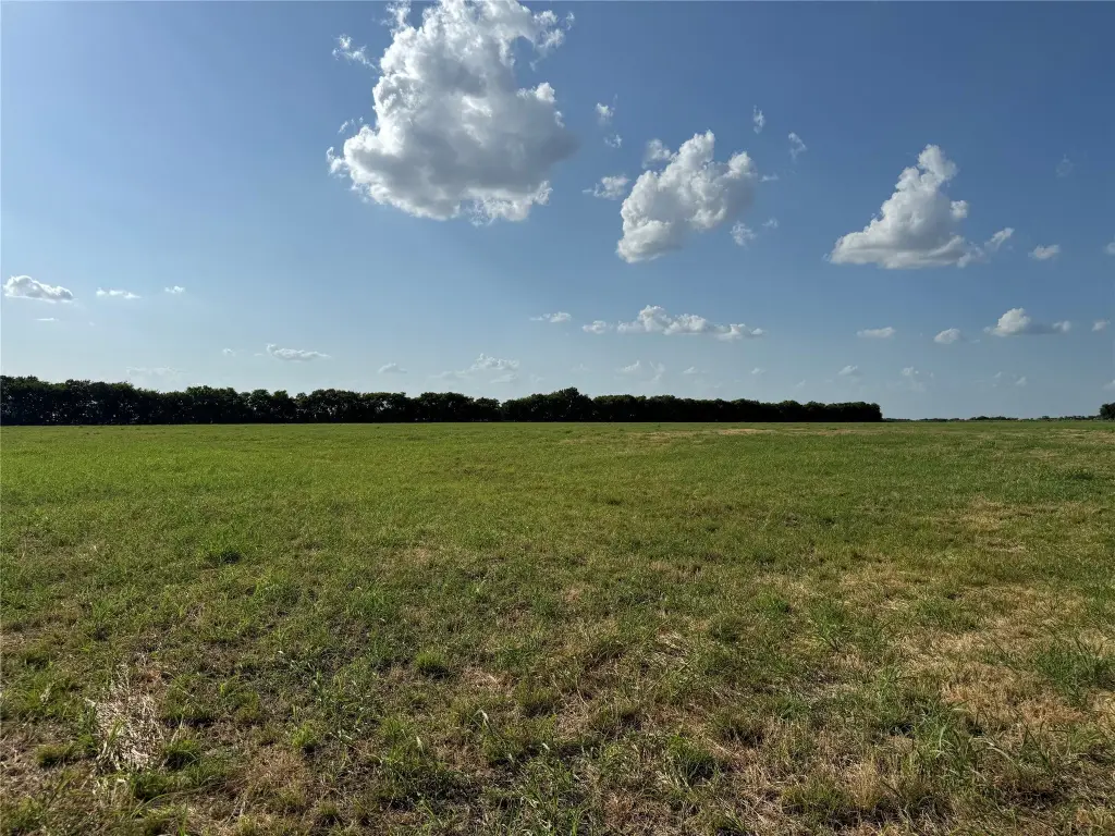 Picture 25