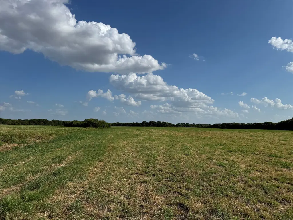 Picture 22
