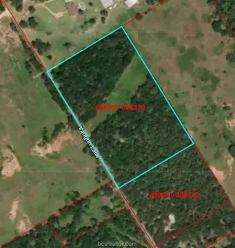 Virgin Wooded Land with Minerals