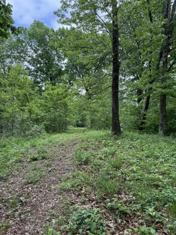 Picture 17