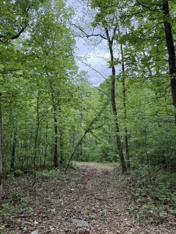Picture 21