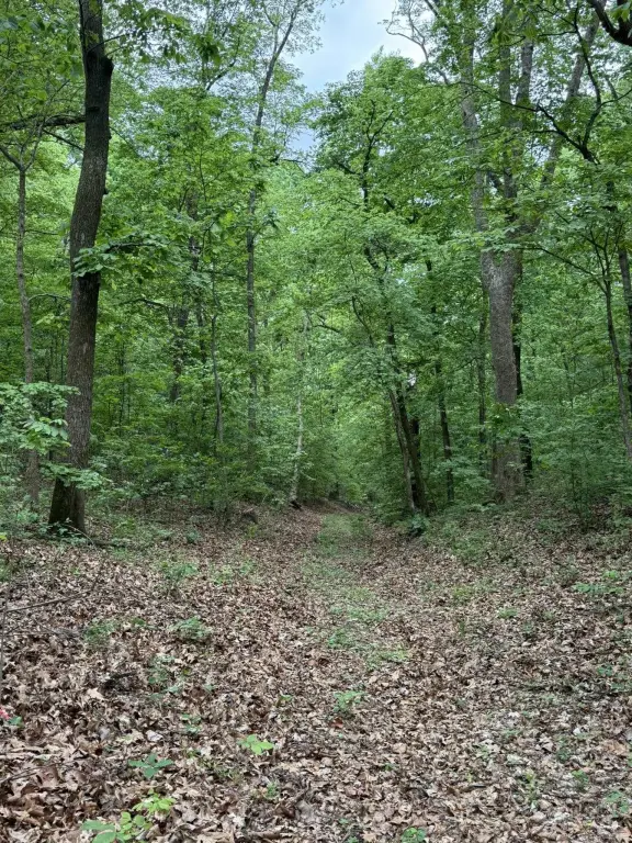 Picture 20