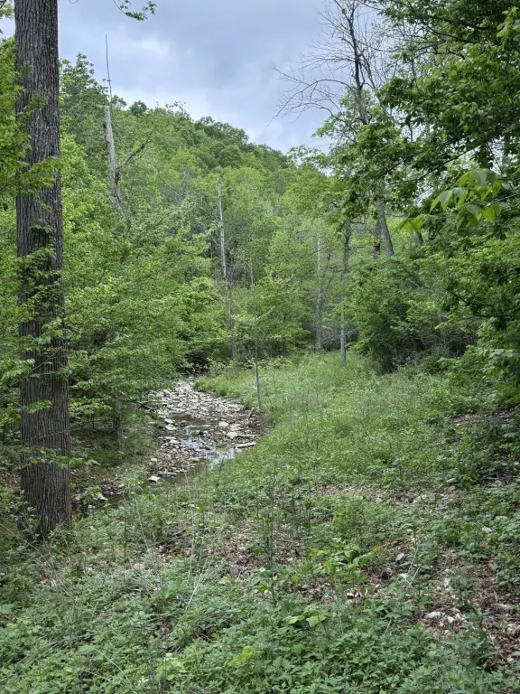 Picture 22