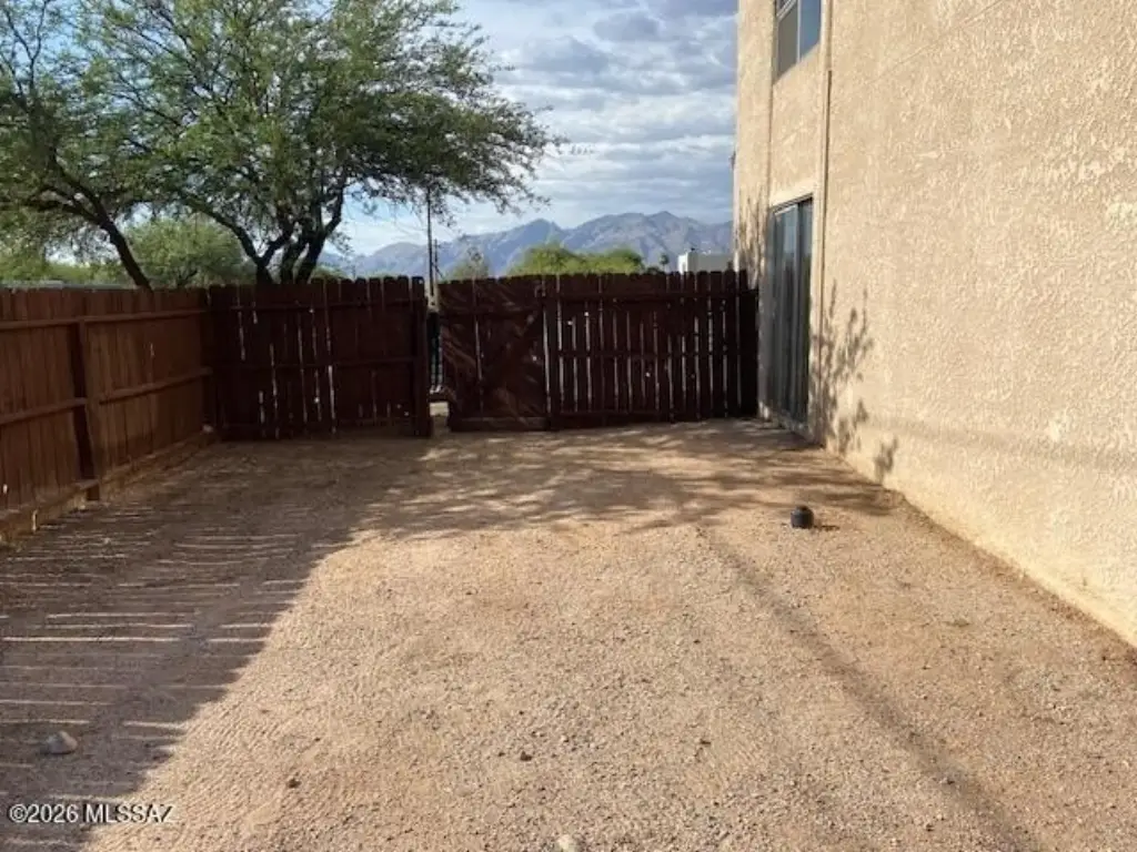 Picture 23
