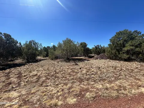 Williams, AZ Usable Land