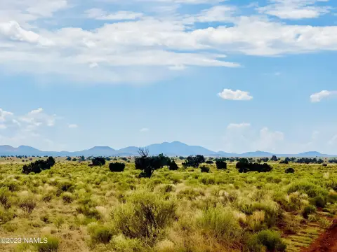 Expansive Land Parcel Near Grand Canyon